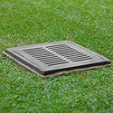 100 Pics Gardening Answers Level 24