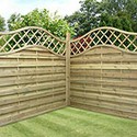 100 Pics Gardening Answers Level 27