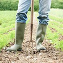 100 Pics Gardening Answers Level 30