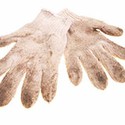 100 Pics Gardening Answers Level 33