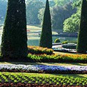 100 Pics Gardening Answers Level 45