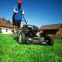 100 Pics Gardening Answers Level 47