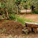 100 Pics Gardening Answers Level 50