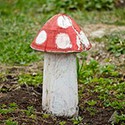 100 Pics Gardening Answers Level 52