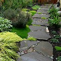 100 Pics Gardening Answers Level 53
