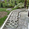 100 Pics Gardening Answers Level 55