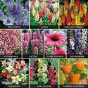 100 Pics Gardening Answers Level 56