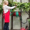 100 Pics Gardening Answers Level 57