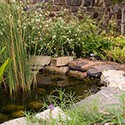 100 Pics Gardening Answers Level 60