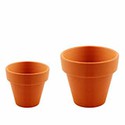100 Pics Gardening Answers Level 61