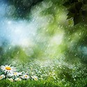 100 Pics Gardening Answers Level 63
