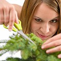 100 Pics Gardening Answers Level 64