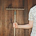 100 Pics Gardening Answers Level 65