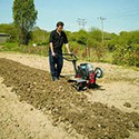 100 Pics Gardening Answers Level 68
