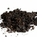 100 Pics Gardening Answers Level 80
