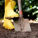 100 Pics Gardening Answers Level 82