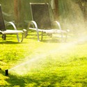 100 Pics Gardening Answers Level 84