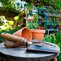 100 Pics Gardening Answers Level 90