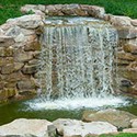 100 Pics Gardening Answers Level 95