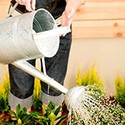 100 Pics Gardening Answers Level 96