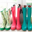 100 Pics Gardening Answers Level 99