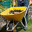 100 Pics Gardening Answers Level 100