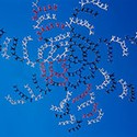 100 Pics Look Up Answers Level 80