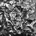 100 Pics Materials Answers Level 2