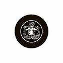 100 Pics Retro Logos Answers Level 88