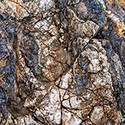 100 Pics S Is For Answers Level 83