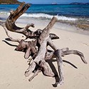 100 Pics The Seaside Answers Level 24