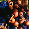 100 pics The Seaside answers Fishing Nets 