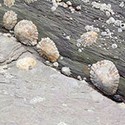 100 Pics The Seaside Answers Level 54
