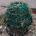 100 Pics The Seaside Answers Level 55