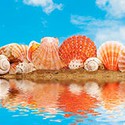 100 Pics The Seaside Answers Level 75