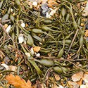 100 Pics The Seaside Answers Level 76
