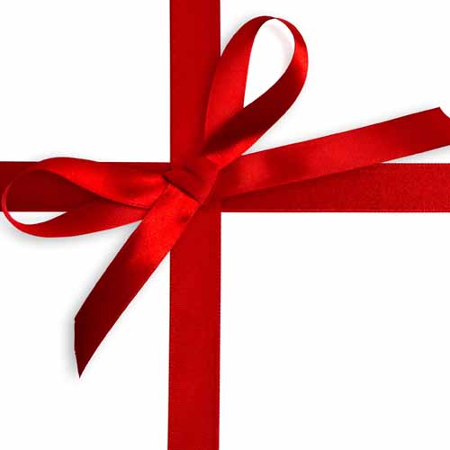 100 Pics Christmas Answers Level 48