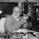 100 Pics Cat Lovers Answers Level 2