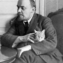 100 Pics Cat Lovers Answers Level 4