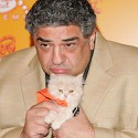 100 Pics Cat Lovers Answers Level 5