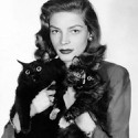 100 Pics Cat Lovers Answers Level 11