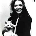 100 Pics Cat Lovers Answers Level 18