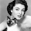 100 Pics Cat Lovers Answers Level 20