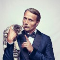100 Pics Cat Lovers Answers Level 22