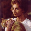 100 Pics Cat Lovers Answers Level 29