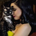 100 Pics Cat Lovers Answers Level 32