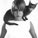 100 Pics Cat Lovers Answers Level 42