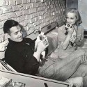 100 Pics Cat Lovers Answers Level 43