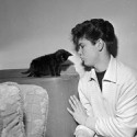100 Pics Cat Lovers Answers Level 44
