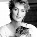 100 Pics Cat Lovers Answers Level 50